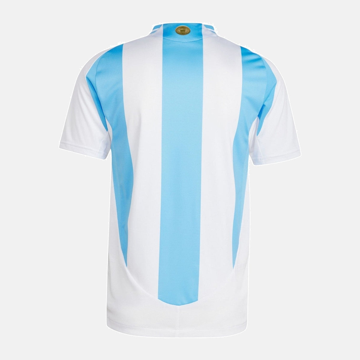 Home 24/25 Men's Player Jersey