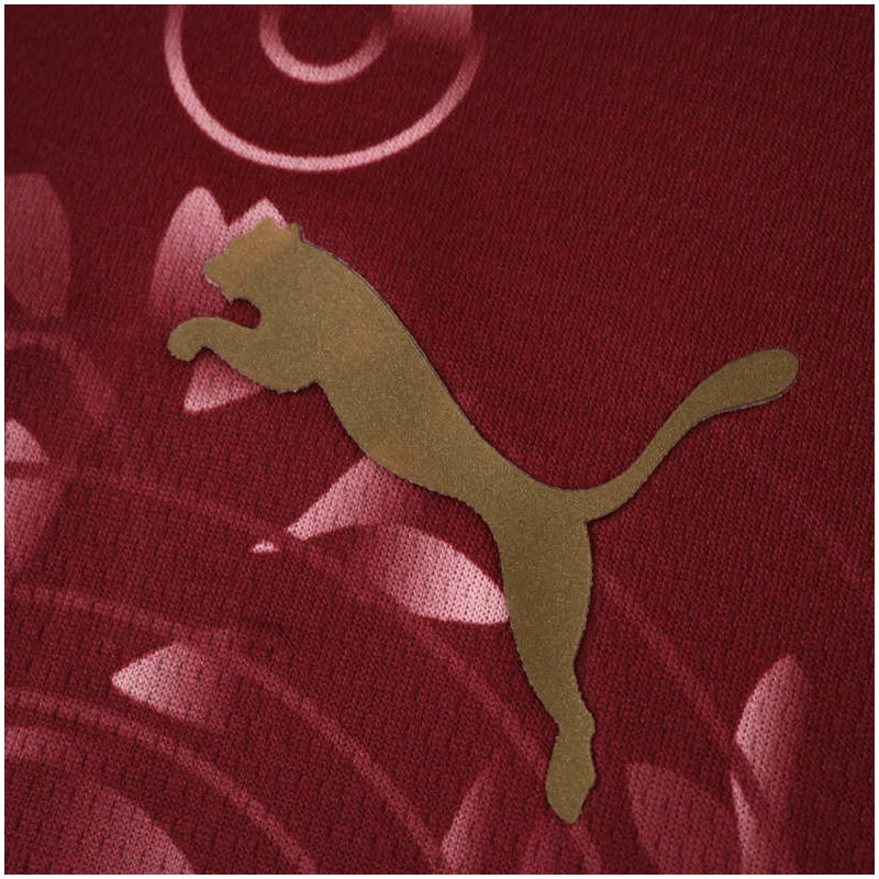 Galatasaray Third Jersey 2025/26