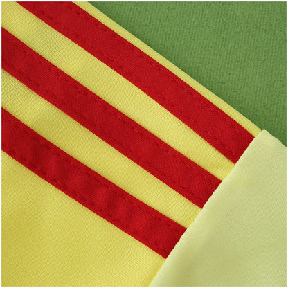 Arsenal Goalkeeper Jersey 2025/26